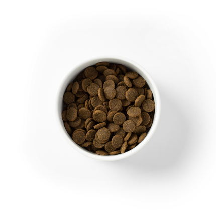 SavourLife - Grain Free Ocean Fish Large Breed Dog Dry Food (15kg)