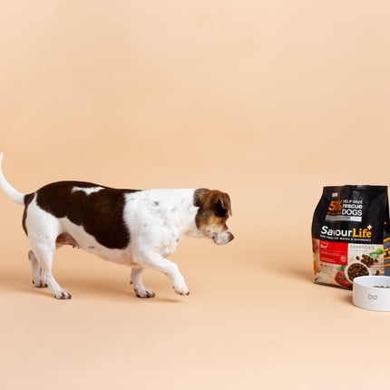 SavourLife - Essentials Beef Dog Dry Food (3kg)