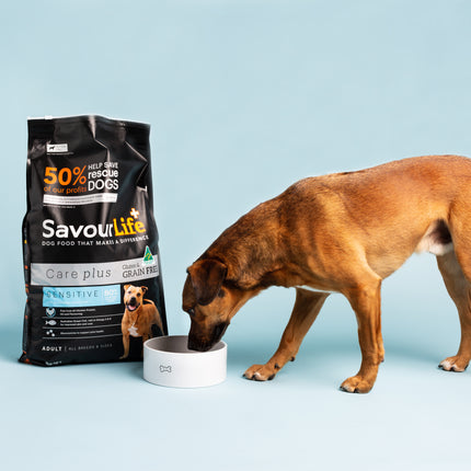 SavourLife - Grain Free Ocean Fish CarePlus Sensitive Dog Dry Food (10kg)