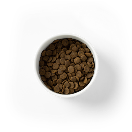 SavourLife - Grain Free Ocean Fish CarePlus Sensitive Dog Dry Food (10kg)