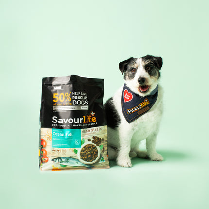 SavourLife - Essentials Ocean Fish Dog Dry Food (3kg)
