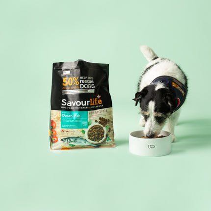 SavourLife - Essentials Ocean Fish Dog Dry Food (3kg)