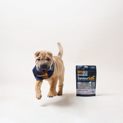 SavourLife - Australian Puppy Training Treats (165g)