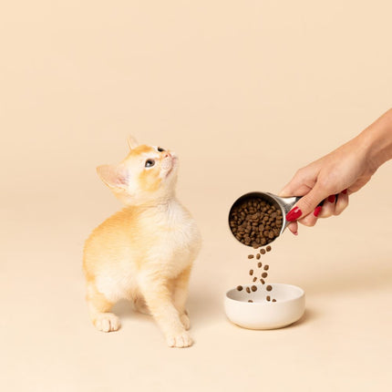 SavourLife Kitten Chicken Dry Cat Food (2kg)