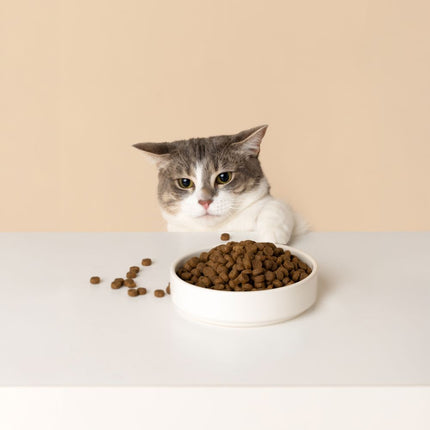 SavourLife Adult Cat Ocean Fish Dry Food (4kg)