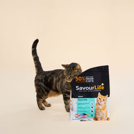 SavourLife Adult Cat Ocean Fish Dry Food (4kg)