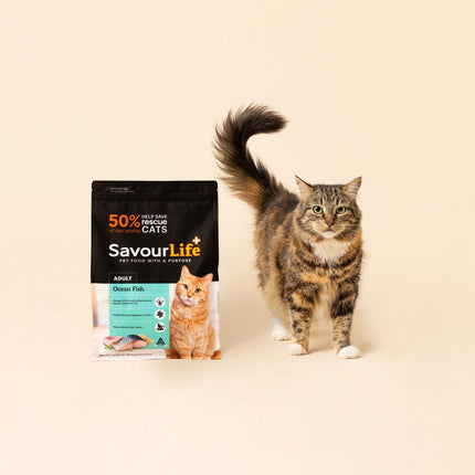SavourLife Adult Cat Ocean Fish Dry Food (4kg)