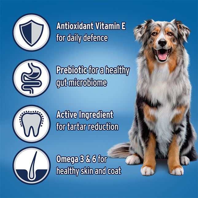 ADVANCE Adult Medium Breed Lamb with Rice Dog Dry Food 3kg