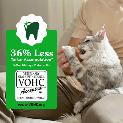 GREENIES - Feline Catnip Treat (277g)
