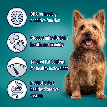 ADVANCE Healthy Ageing Small Breed Chicken with Rice Dog Dry Food 3kg