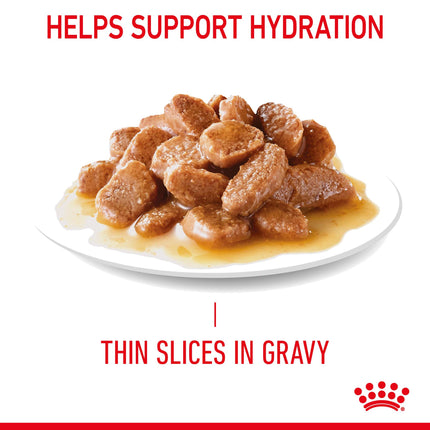 Royal Canin - Digestive Sensitive Care Gravy Adult Cat Wet Food (85g x 12pk)