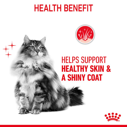 Royal Canin - Hair & Skin Care Gravy Adult Cat Wet Food (85g x 12pk)