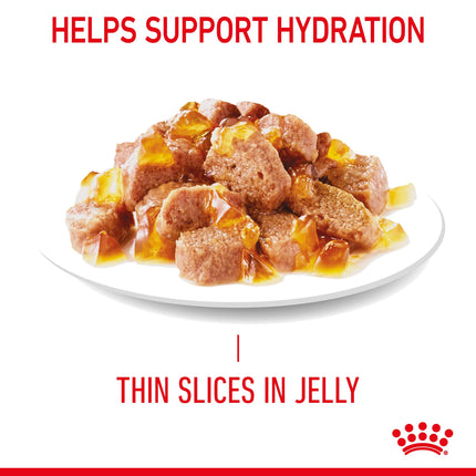 Royal Canin - Hair & Skin Care Jelly Adult Cat Wet Food (85g x 12pk)