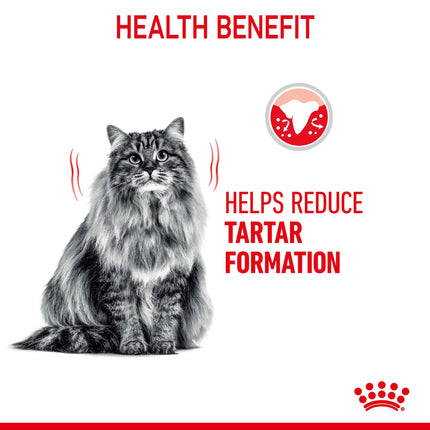Royal Canin - Dental Care Adult Dry Cat Food (3.5kg)