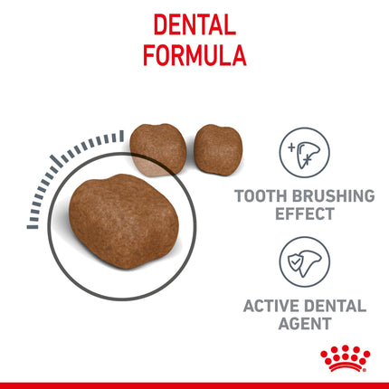 Royal Canin - Dental Care Adult Dry Cat Food (3.5kg)