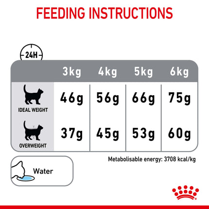 Royal Canin - Dental Care Adult Dry Cat Food (3.5kg)