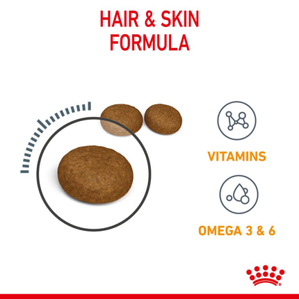 Royal Canin - Hair & Skin Care Adult Cat Dry Food (2kg)