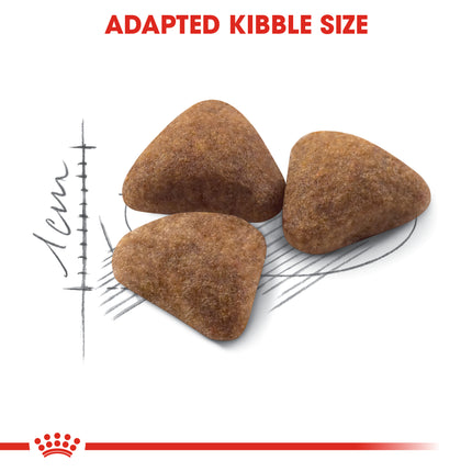 Royal Canin - Indoor Adult Cat Dry Food (4kg)