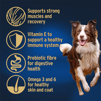 ADVANCE Dog High Protein Grain Free Chicken Dry Food