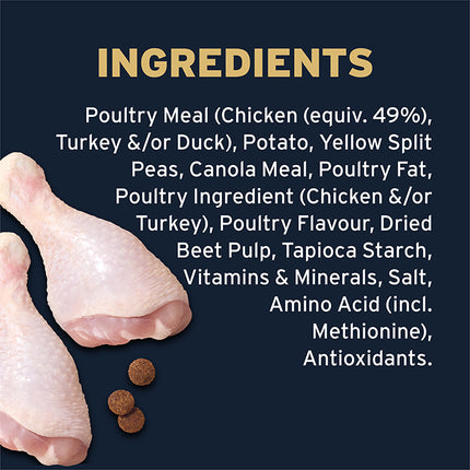 ADVANCE Dog High Protein Grain Free Chicken Dry Food