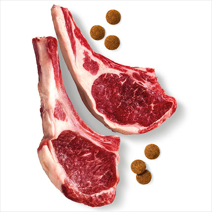 ADVANCE Dog High Protein Grain Free Lamb Dry Food