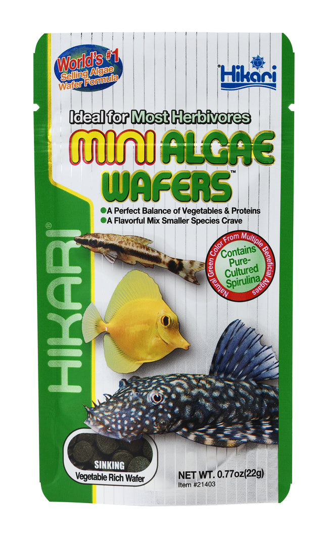 Hikari - Algae Wafers - Mini (22g)