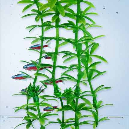 Tetra - Anacharis DecoArt Plant (Small)