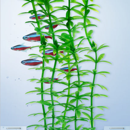 Tetra - Anacharis DecoArt Plant (Medium)