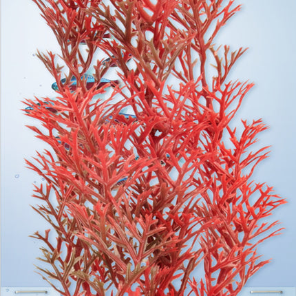 Tetra - Foxtail Red DecoArt Plant (Medium)