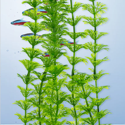 Tetra - Ambulia DecoArt Plant (Large)
