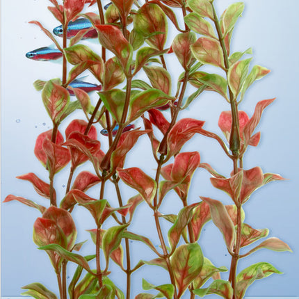 Tetra - Red Ludwigia DecoArt Plant (Large)