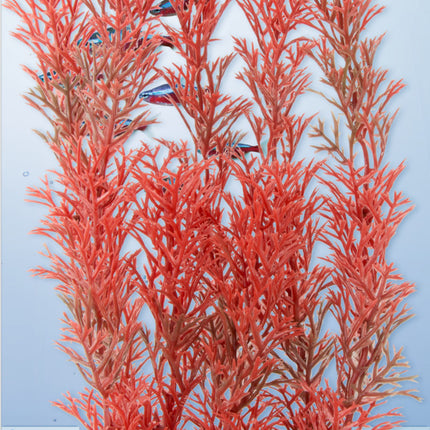 Tetra - Foxtail Red DecoArt Plant (Large)