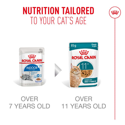 Royal Canin Ageing 11+ Chunks in Jelly Wet Cat Food 85g x 12pk