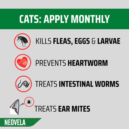 NEOVELA for Puppies, Kittens & Rabbits (Up to 2.5kg) 4 Pack