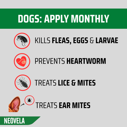 NEOVELA for Puppies, Kittens & Rabbits (Up to 2.5kg) 4 Pack