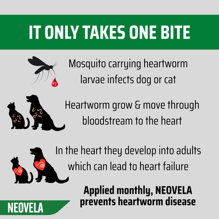 NEOVELA for Puppies, Kittens & Rabbits (Up to 2.5kg) 4 Pack