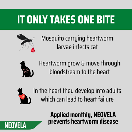 NEOVELA for Cats & Rabbits (2.6-7.5kg) 4 Pack