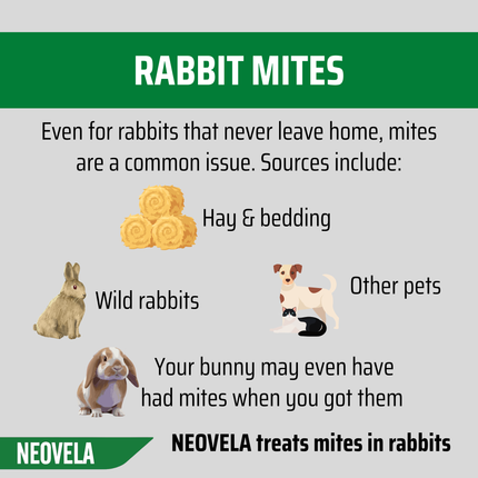 NEOVELA for Cats & Rabbits (2.6-7.5kg) 4 Pack