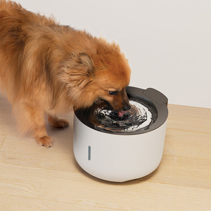 Zeus OASIS Dog Drinking Fountain