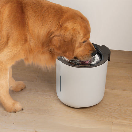 Zeus OASIS Dog Drinking Fountain