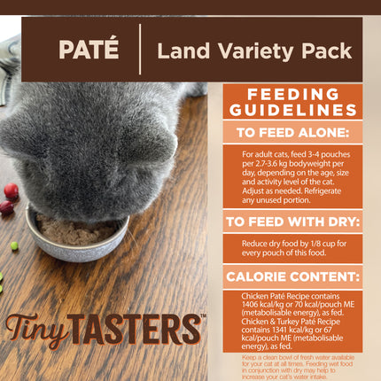 Wellness CORE Tiny Tasters Poultry Pate 12x50g