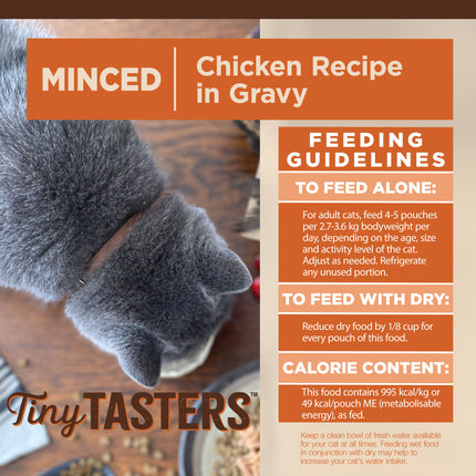 Wellness CORE Tiny Tasters Chicken in Gravy 12x50g