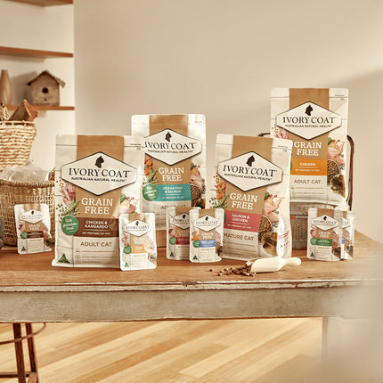 Ivory Coat - Grain Free Indoor Adult Dry Cat Food Chicken & Kangaroo (4kg)
