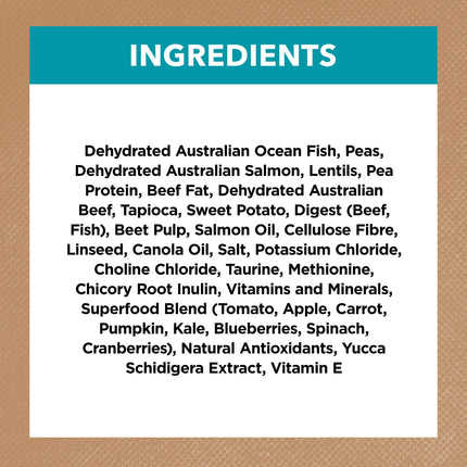 Ivory Coat - Grain Free Adult Dry Cat Food Ocean Fish & Salmon (4kg)