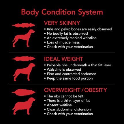 Supercoat Adult Dog with Beef 7kg