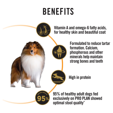 PRO PLAN Adult Medium Breed Chicken Dry Dog Food (15kg)