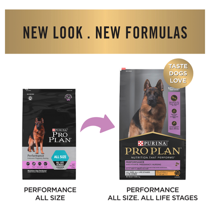 PRO PLAN Adult Performance Chicken Dry Dog Food (20kg)