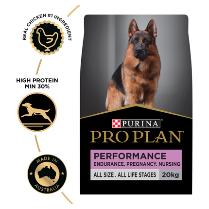 PRO PLAN Adult Performance Chicken Dry Dog Food (20kg)