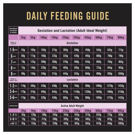 PRO PLAN Adult Performance Chicken Dry Dog Food (20kg)