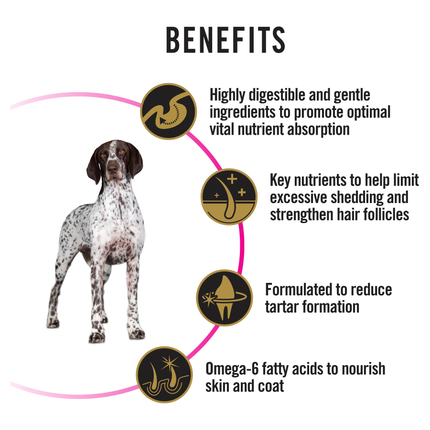 PRO PLAN Adult Sensitive Skin & Stomach Medium & Large Breed Dry Dog Food (12kg)